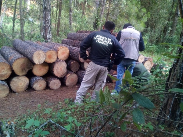 FGR investiga ecocidio en Nuevo San Juan Parangaricutiro