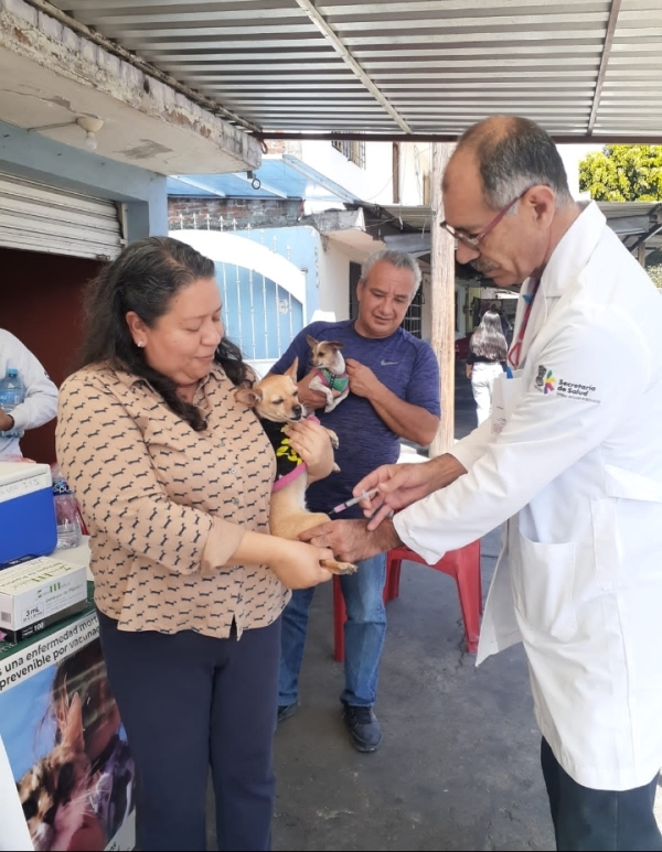 Vacunación antirrábica para perros y gatos este 17 de mayo en Uruapan