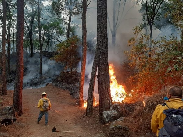 Fuego devora gran parte de la reserva ecológica del Parque Nacional “Barranca del Cupatitzio”, aún no ha logrado apagar el incendio