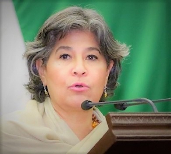 Mayela Salas, diputada local presentará una agenda Legislativa incluyente