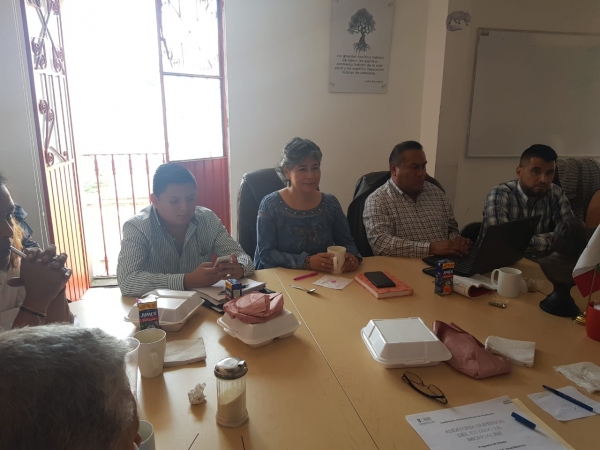 Bancada de Morena votará por el mejor perfil para elegir al nuevo Auditor Superior de Michoacán: Mayela Salas   