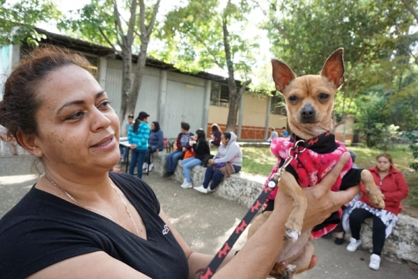 Dan seguimiento a registro de perros y gatos próximos a esterilizar: Mayela Salas