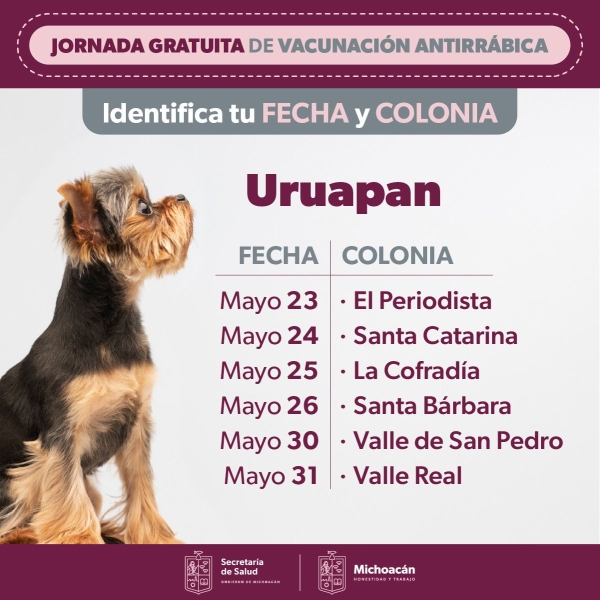 Vacunación antirrábica gratuita canina y felina se desarrolla en 14 colonias de Uruapan