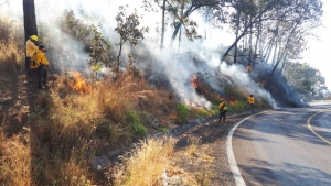 Brechas cortafuego “líneas negras” realizadas por brigadas de control de incendios forestales