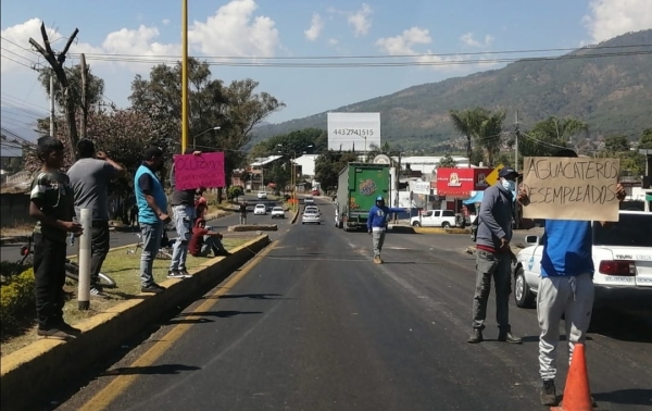 &quot;Botean&quot; cortadores de aguacate en Uruapan, Michoacán ante crisis del sector