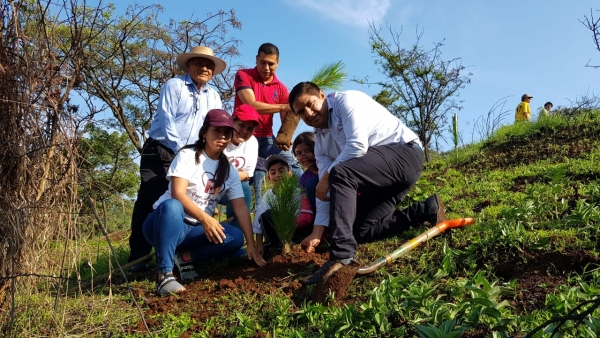 Plantar un árbol, es plantar vida: Francisco Cedillo