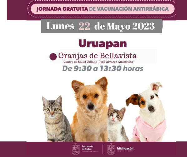 Jornada de vacunación antirrábica felina y canina en Uruapan: JCER