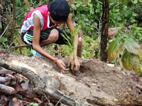 Mayela Salas motiva a niños de Tzitzio con reforestación de más de 200 pinos