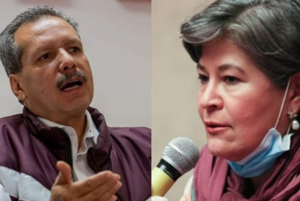 Acéfalas opiniones del autonombrado &quot;vocero de Morena&quot; no hay tal representación en Michoacán: Mayela Salas