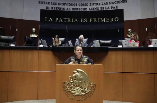 El Senado de la República no puede ser rehén de nadie: Casimiro Méndez Ortiz