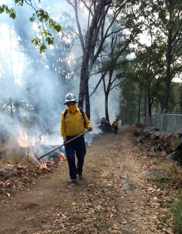 Más de 31 hectáreas se incendiaron en el área de montaña del parque nacional &quot;Barranca del Cupatitzio&quot;