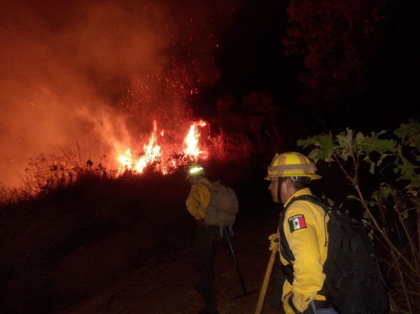 Totalmente sofocado incendio forestal en el cerro de Jicalán