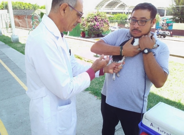Mañana vacunación antirrábica canina y felina gratuita en Granjas de Bellavista