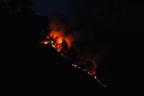 Alertan autoridades evitar daños a la salud por humo ante incendios forestales