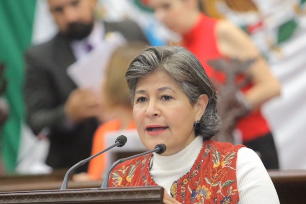 El Congreso debe ser referente  de la legalidad: Mayela Salas