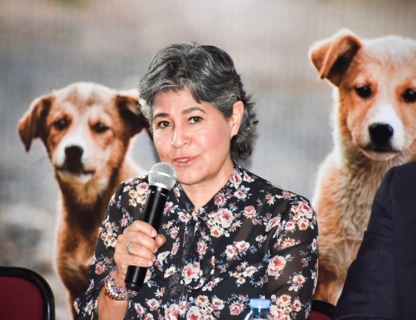 Mayela Salas reconoce importancia de los animales en su día
