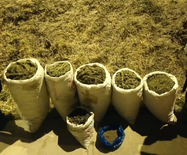 Asegura SSP y SEDENA más de 50 kilos de hierba, al parecer marihuana