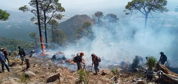 ¡Urge! ayuda en el cerro grande Juata K´eri de Patamban municipio deTangancícuaro