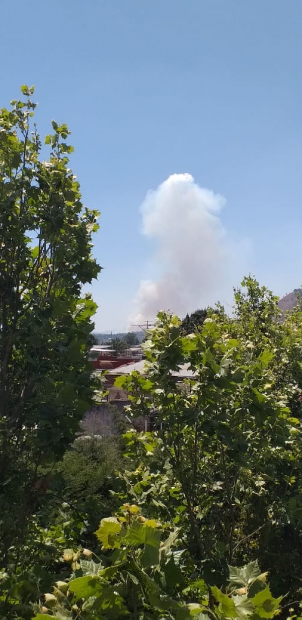 4 cerros incendiados en la región Uruapan; el más intenso se ubica a un costado de campo experimental