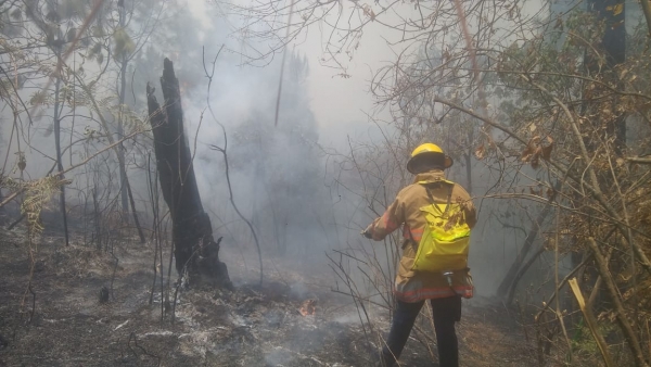 Incendios forestales ponen en &quot;jaque&quot; a brigadistas, son 3 conflagraciones activas en Uruapan y 3 en Tancítaro