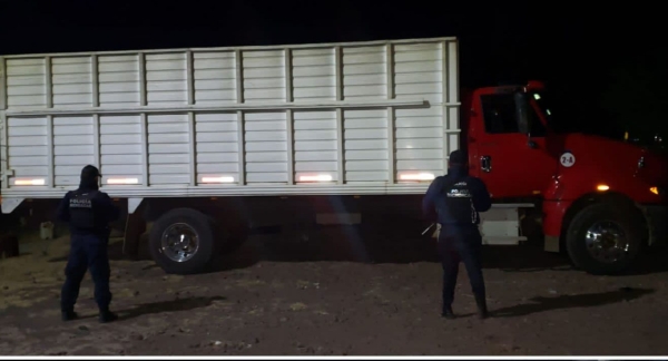 Asegura SSP dos tráilers robados con violencia, en Tangancícuaro
