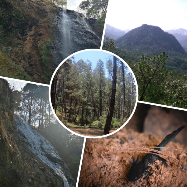 Pico Azul- La Escalera magnífica zona natural protegida en Morelia ¡Conoce Michoacán!