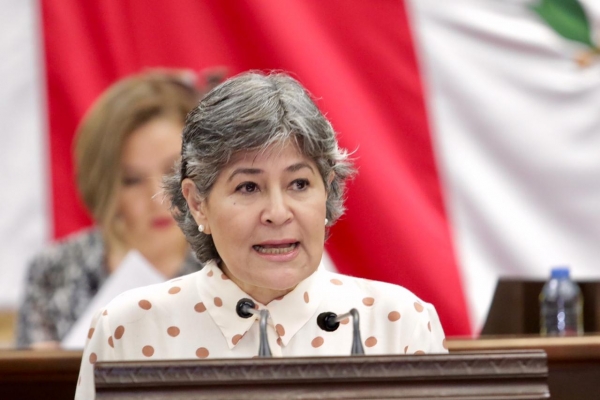 Severas sanciones a quien viole la Ley Vial: Mayela Salas